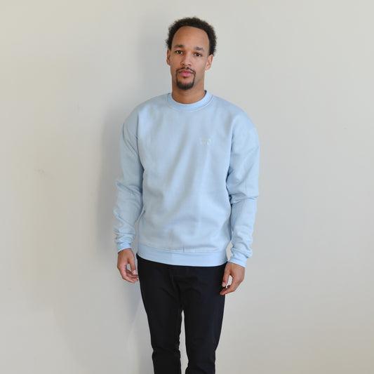 Light blue crewneck sweater, featuring a relaxed fit for cozy comfort and stylish casual wear.