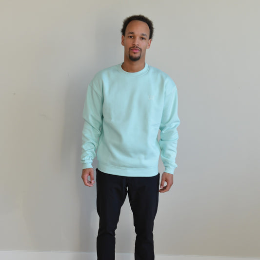 Man wearing a mint crewneck sweater in a relaxed fit, showcasing comfort and style for any occasion.